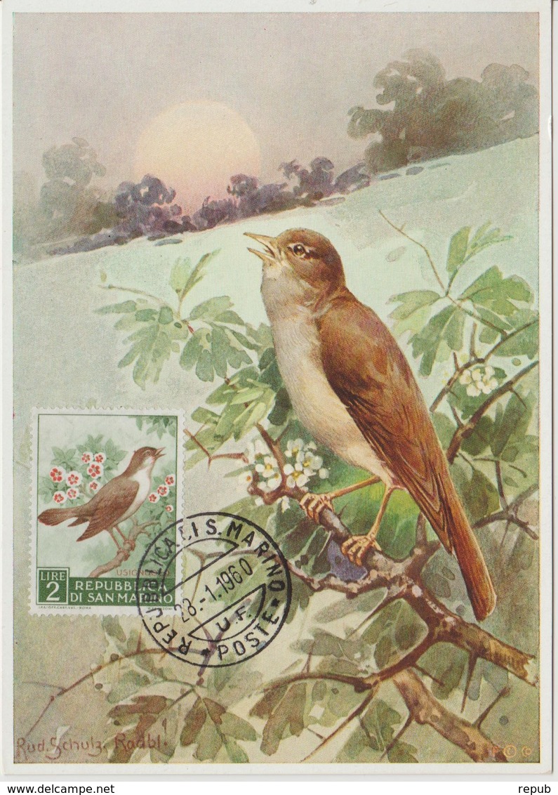 Saint Marin Carte Maximum 1960 Oiseau Rossignol 480 - Lettres & Documents