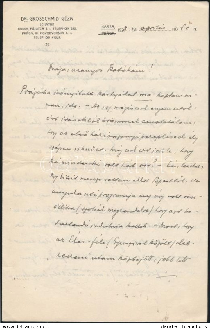 1928 Kassa, Dr. Grosschmid Géza (1872-1934) Felvidéki Kisebbségi Politikus, Szenátor, Későbbi Miskolci Királyi Közjegyző - Sin Clasificación