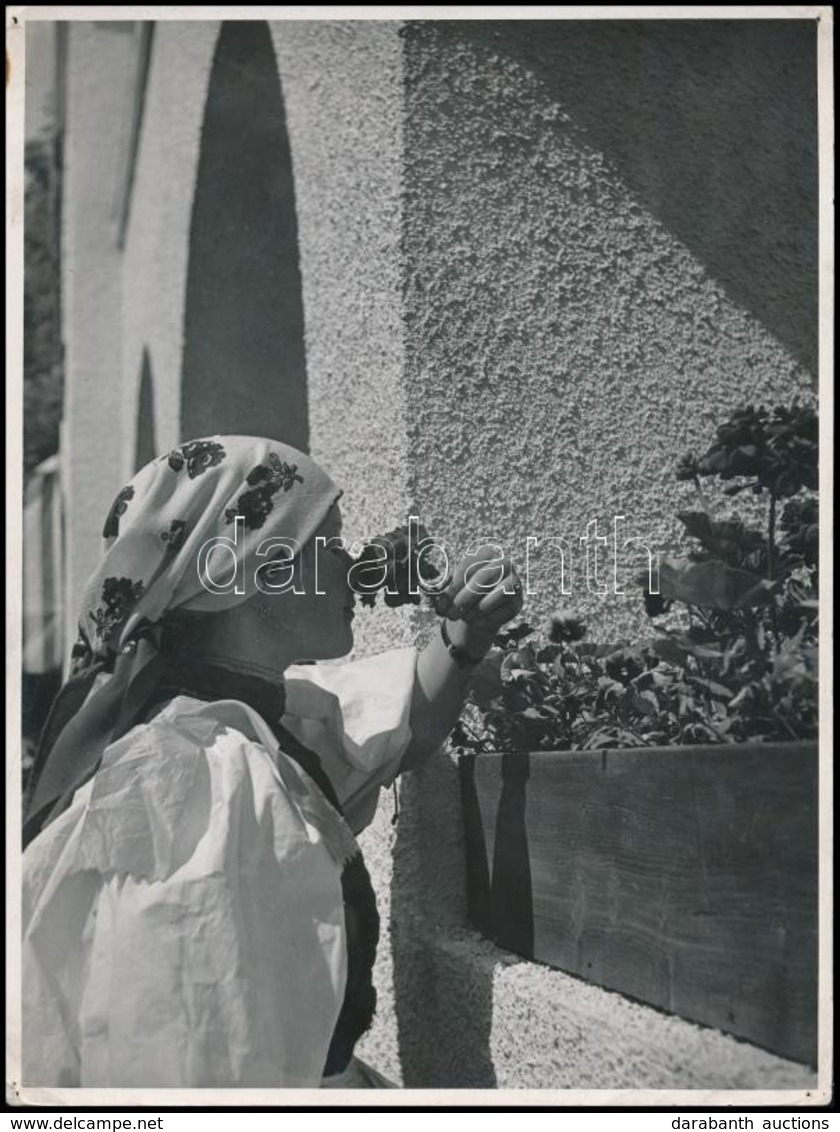 Cca 1942 Korschelt Miklós (1900-1982) Budapesti Festő- és Fotóművész Hagyatékából 2 Db Vintage Fotó, Szerzői Pecséttel J - Autres & Non Classés