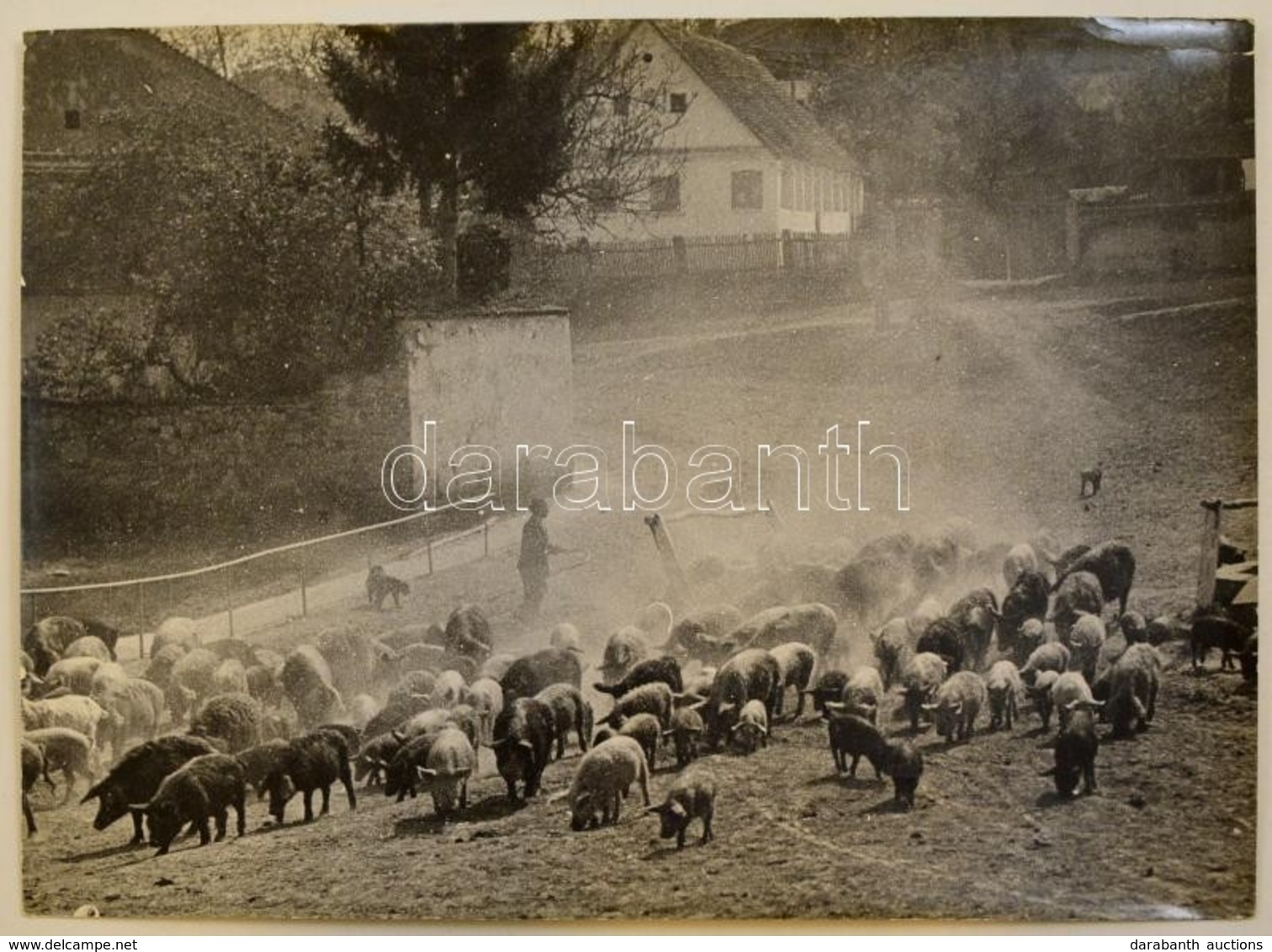 Cca 1937 Osoha László (1899-1970) Budapesti Fotóművész Hagyatékából Jelzés Nélküli Vintage Fotóművészeti Alkotás (Konda) - Andere & Zonder Classificatie