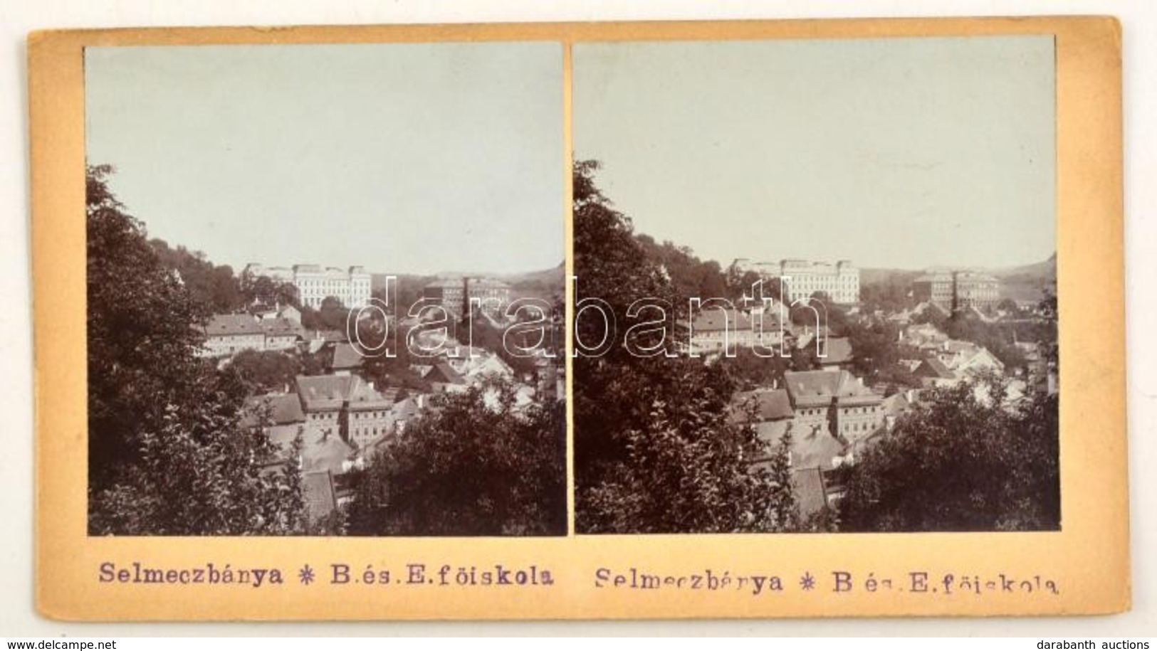 1905 Selmecbánya (Schemnitz, Banská Stiavnica) Bányászati és Erdészeti Főiskola, Sztereófotó, 10x18 Cm - Autres & Non Classés