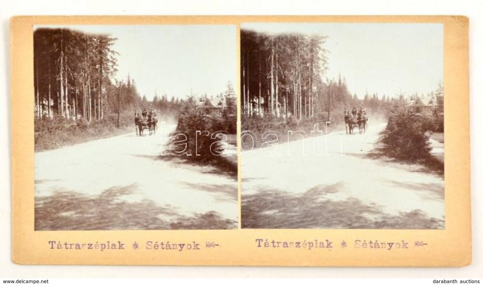 1905 Tátraszéplak (Tatranska Polianka), Sétányok, Sztereófotó, 10x18 Cm - Altri & Non Classificati