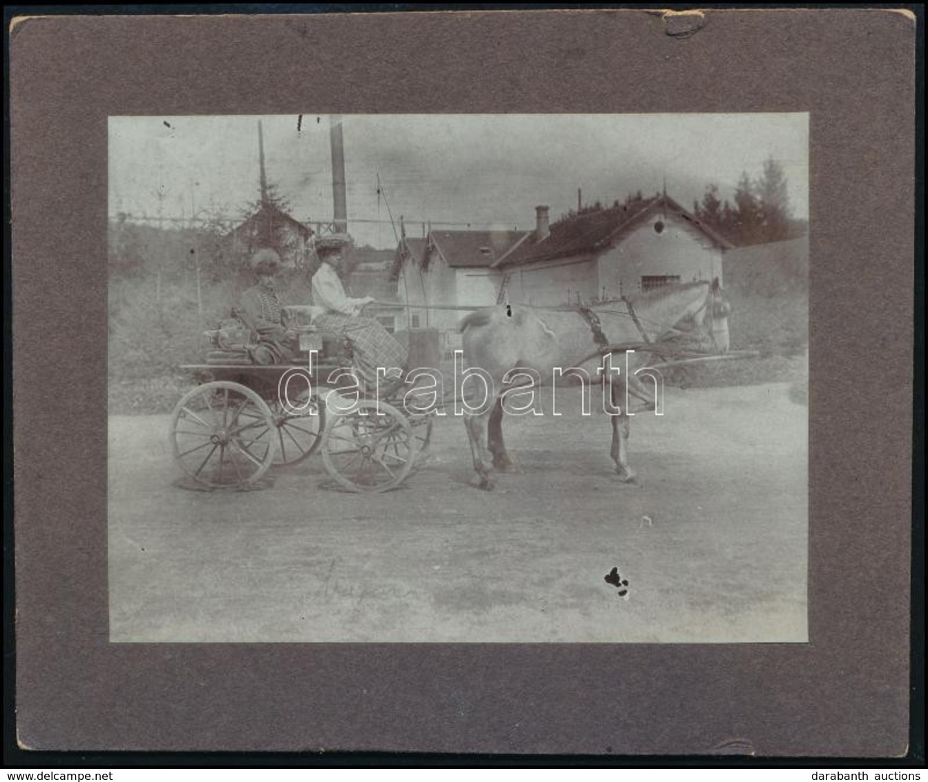 1906 Tarcsa, Lovaskocsi, Fotó Kartonon, 10,5x13 Cm - Autres & Non Classés