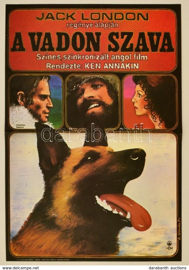 1984 Szyksznian Wanda (1948-): A Vadon Szava, Angol Film Plakát, Jack London Regénye Alapján, Főszerepben: Charlton Hest - Altri & Non Classificati