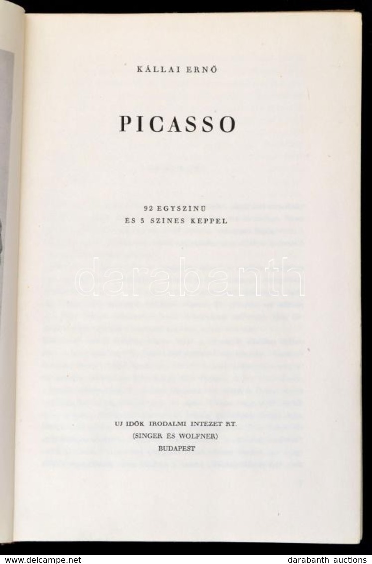 Kállai Ernő: Picasso. Bp.,1948,Új Idők Irodalmi Intézet Rt.(Singer és Wolfner),(Hungária-ny.), 86 P.+LXXX T. Kiadói Félv - Non Classés
