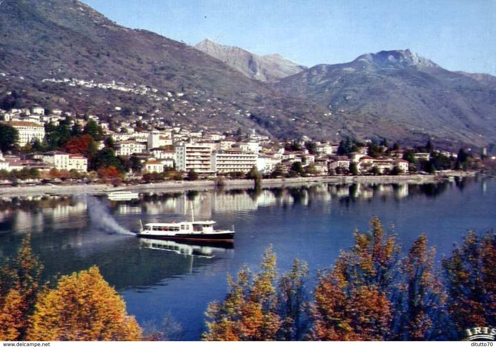 Locarno - Lago Maggiore - Il Lungolago E Muralto - Formato Grande Viaggiata – E 9 - Muralto