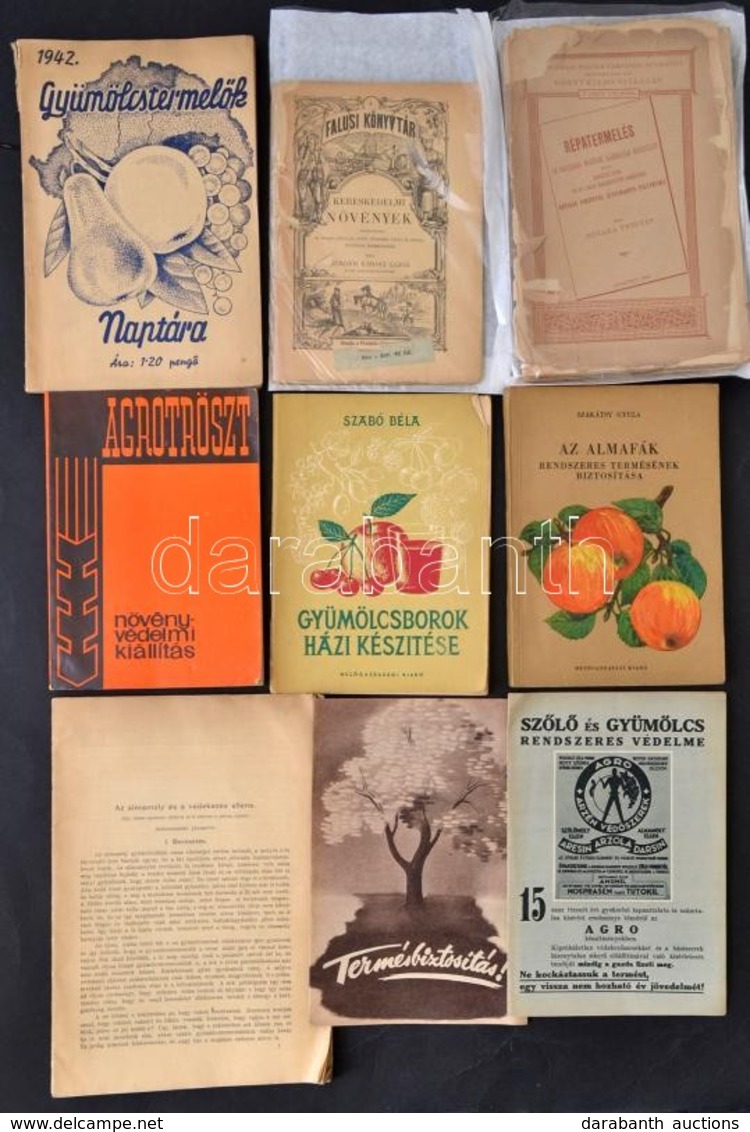1890-1966 Vegyes Mezőgazdasági Könyvtétel: Szakátsy Gyula : Az Almafák Rendszeres Termésének Biztosítása. (1956), Szabó  - Non Classés