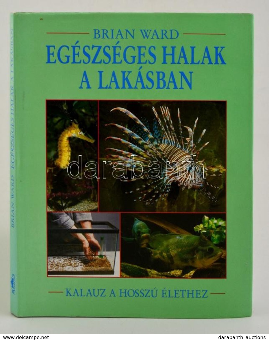 Brian Ward: Egészséges Halak A Lakásban. Bp., 1993. Maecenas. - Sin Clasificación