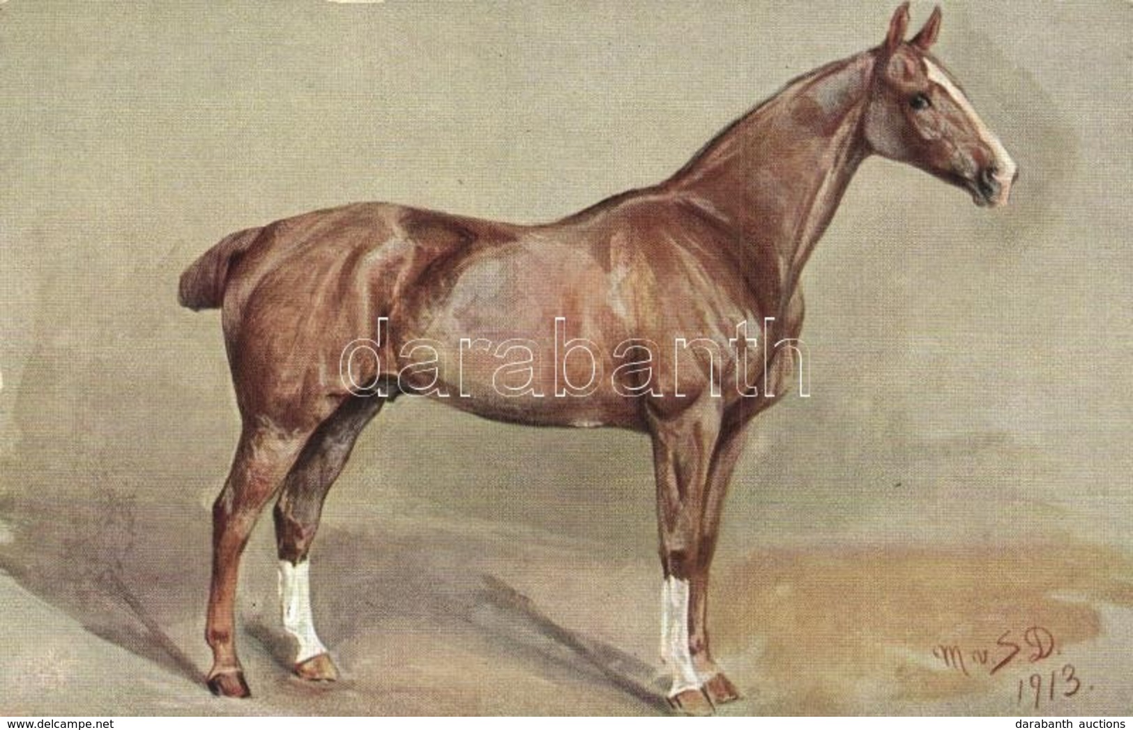 ** 4 Db RÉGI Ló Motívumos Képeslap, Közte Fotólap / 4 Pre-1945 Horse Motive Postcards, With Photos - Non Classés