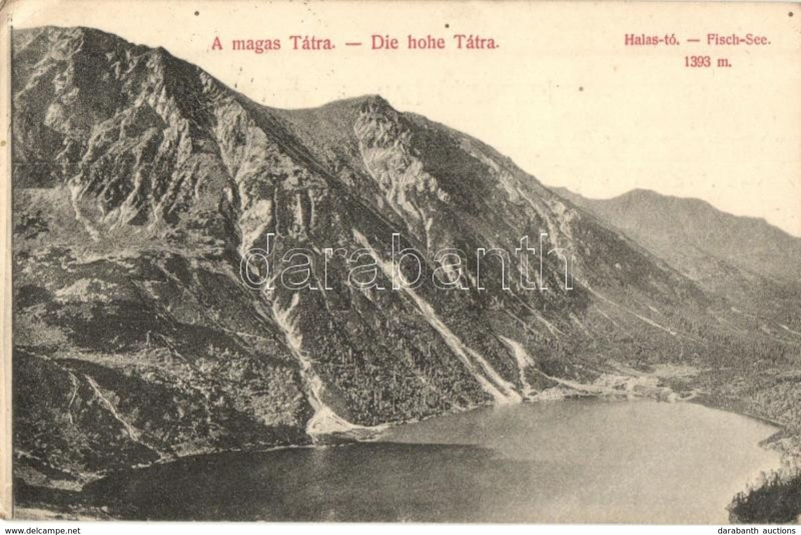 T2/T3 Tátra, Magas Tátra, Vysoké Tatry; Halas Tó. Kiadja Divald Károly / Fischsee / Morskie Oko / Lake (EK) - Non Classés