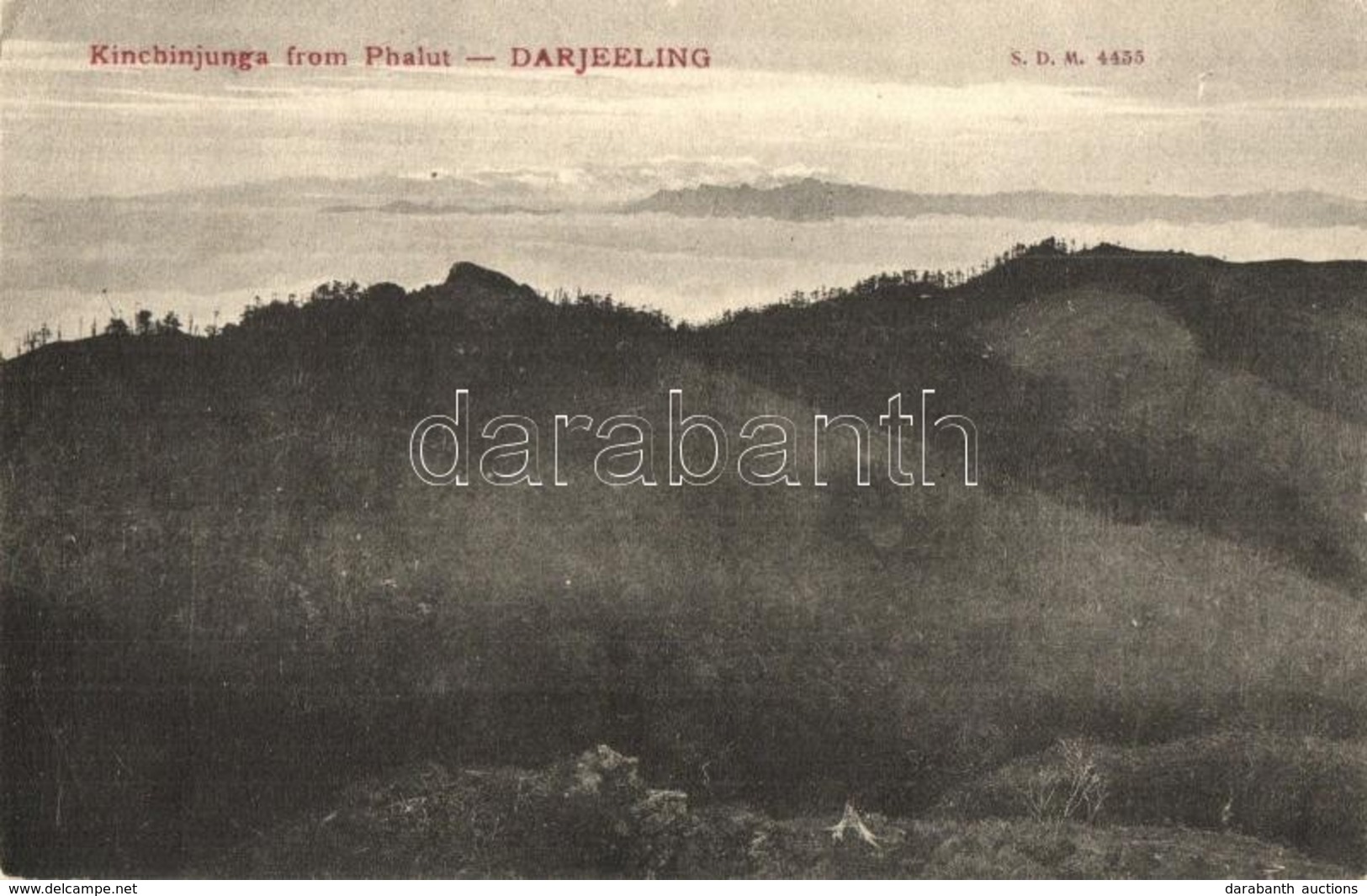 T2/T3 Darjeeling, Kangchenjunga From Phalut (EK) - Non Classificati