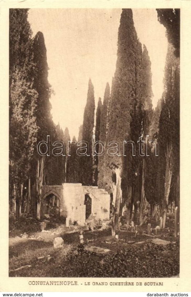 ** T2/T3 Constantinople, Istanbul; Le Grand Cimetiere De Scutari / Turkish Cemetery. F. Rochat No. 1220. (EK) - Sin Clasificación