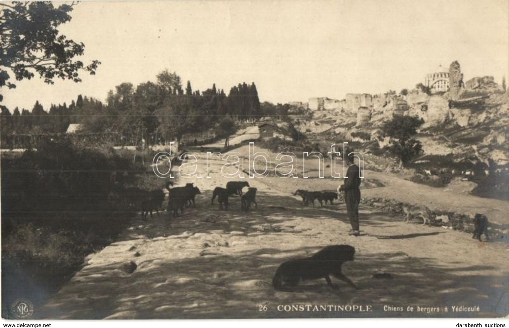 ** T2 Constantinople, Istanbul; Chiens De Bergers A Yédicoulé / Shepherd Dogs By The Yedikule Fortress. Edit. J. Ludwigs - Non Classés