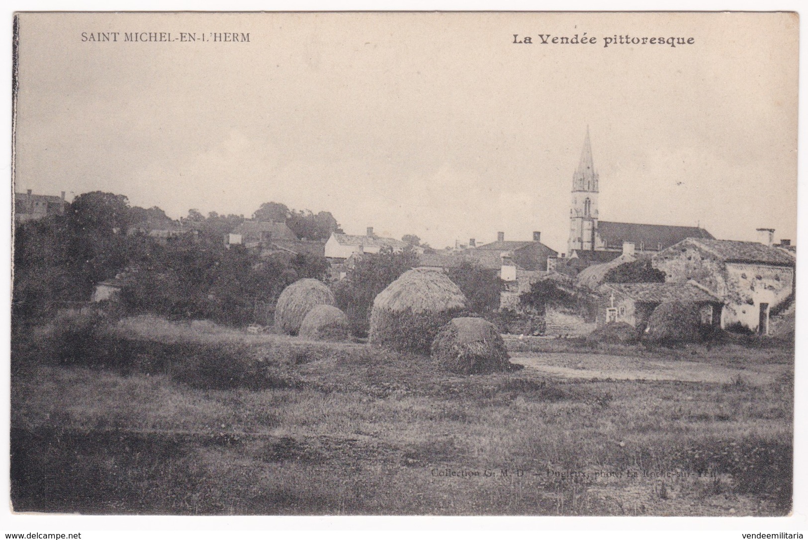 CPA - 85 - VENDEE - SAINT MICHEL EN L'HERM  La Vendée Pittoresque - Saint Michel En L'Herm