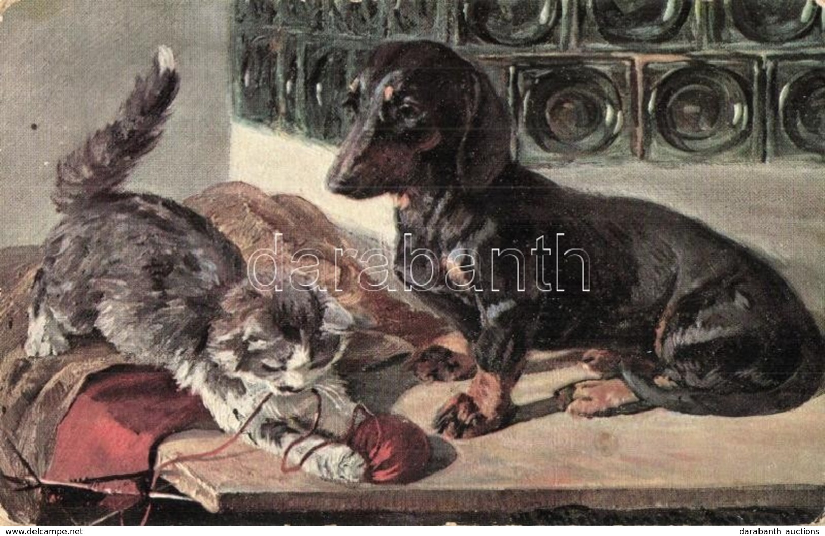 T2/T3 Dachshund With Cat (fl) - Non Classificati