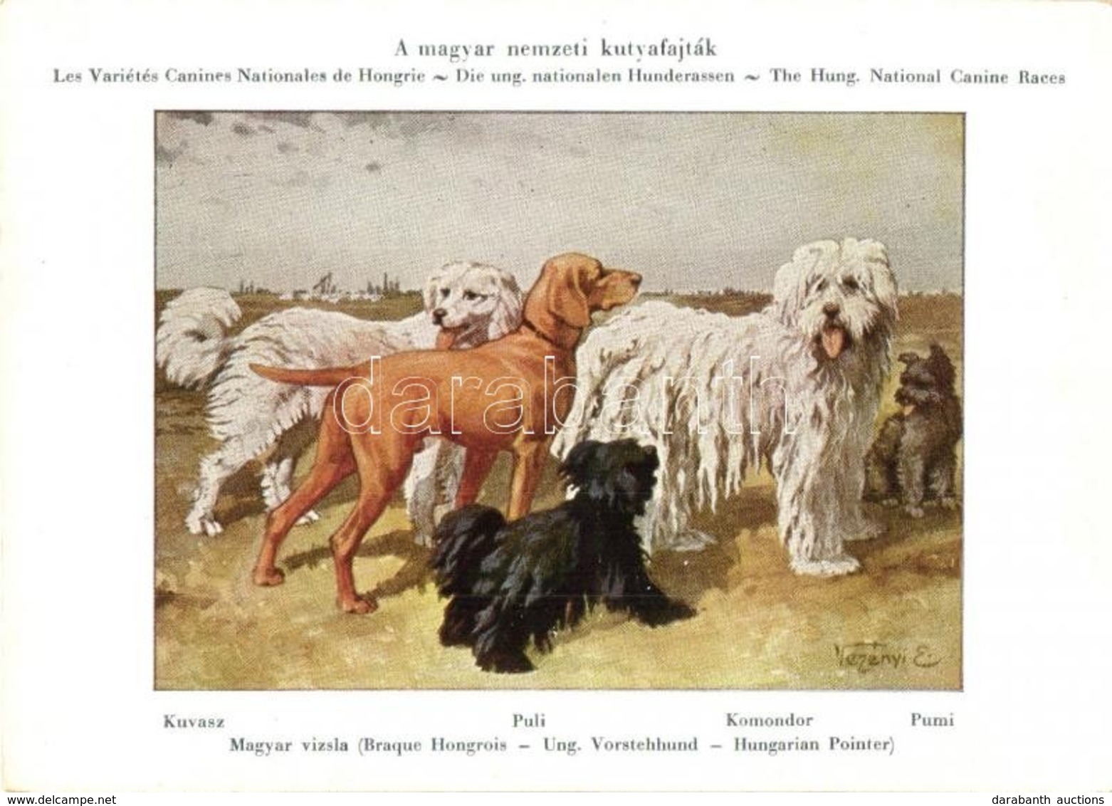 ** T1/T2 Magyar Nemzeti Kutyafajták. A Magyar Ebtenyésztők Országos Egyesületének Lapja; Kuvasz, Magyar Vizsla, Puli, Ko - Unclassified