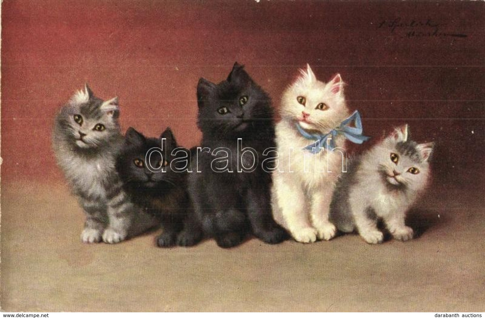 ** T1 Five Cats. T. S. N. Serie 648. S: Sperlich - Non Classés