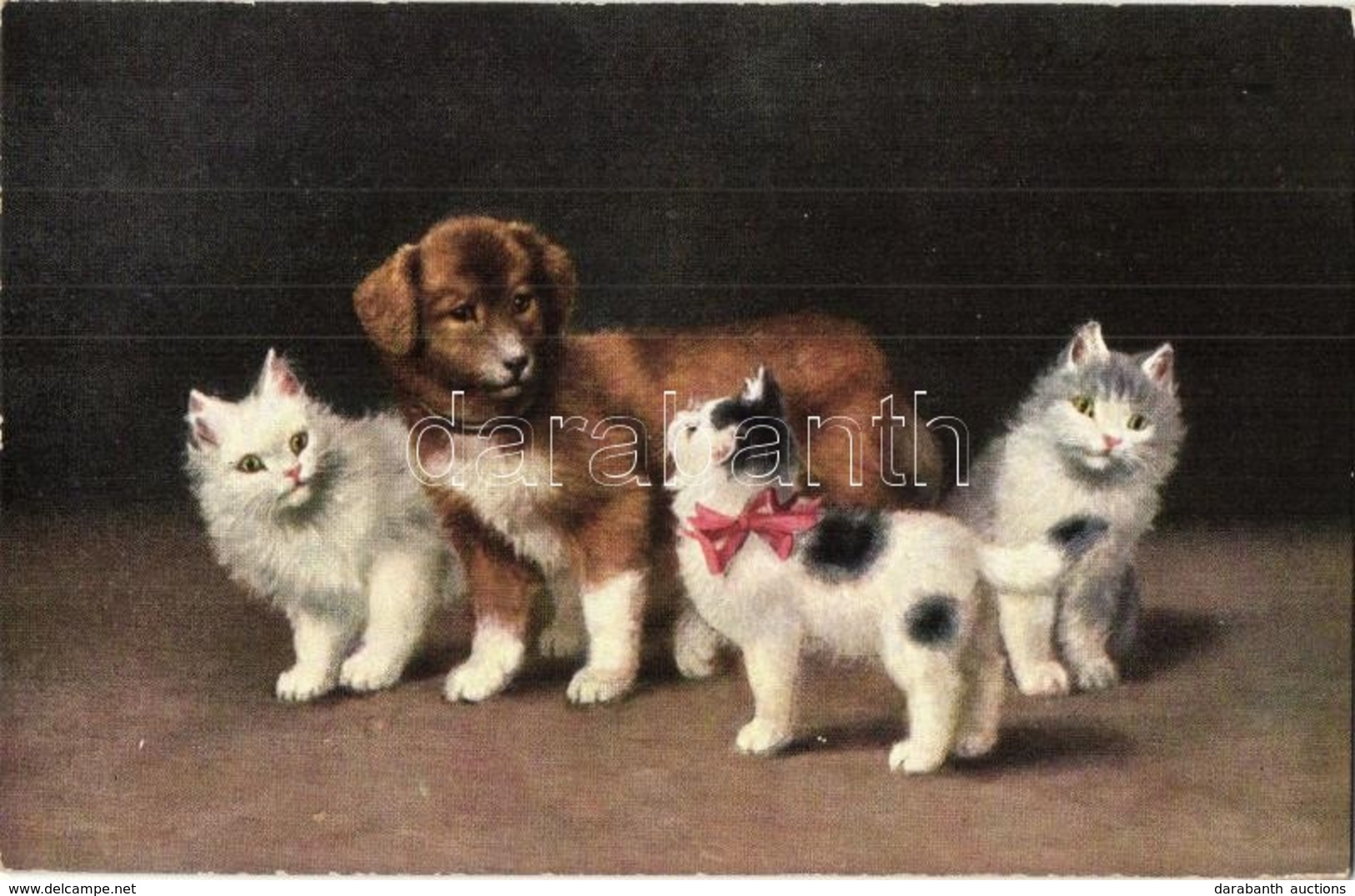 ** T1 Cats With A Dog. T. S. N. Serie 671. S: Sperlich - Non Classés