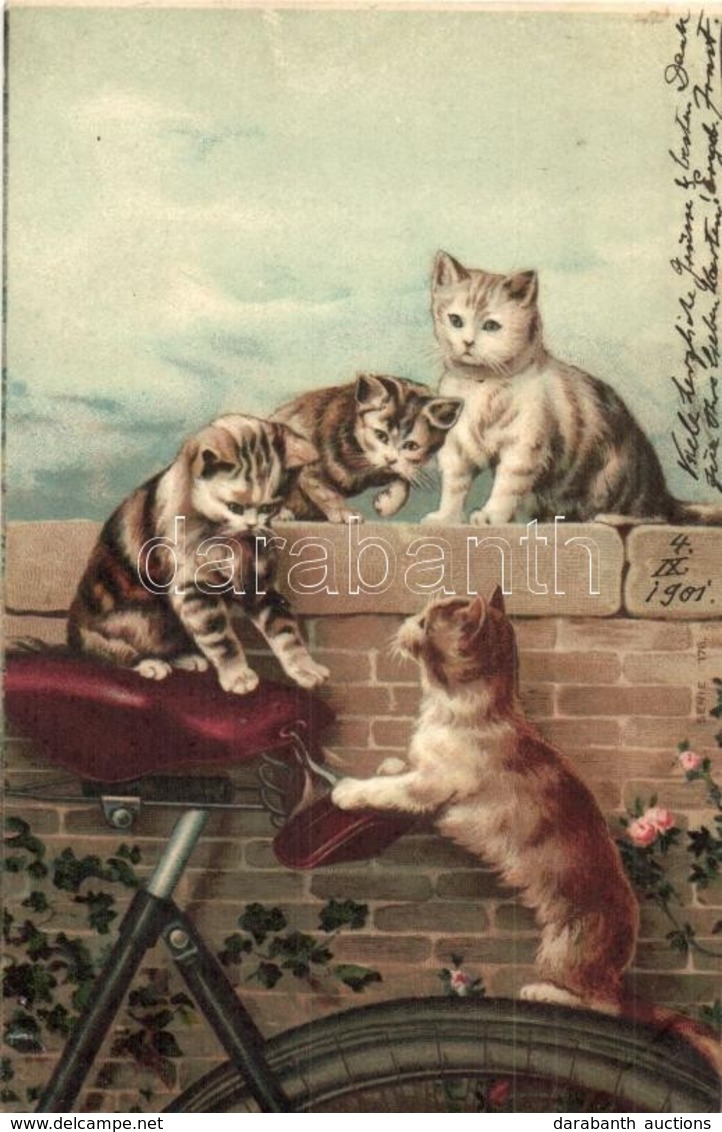 T2 1901 Cats Playing With A Bicycle Seat. Serie 176. Litho - Non Classés