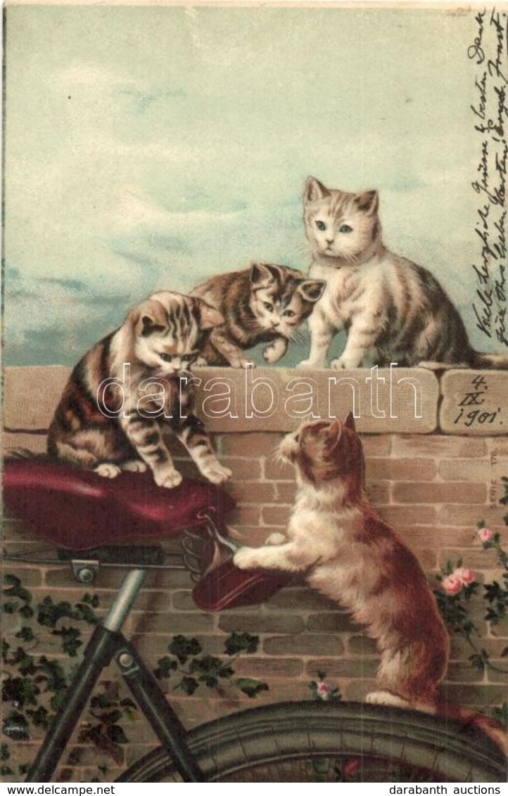 T2 1901 Cats Playing With A Bicycle Seat. Serie 176. Litho - Non Classificati