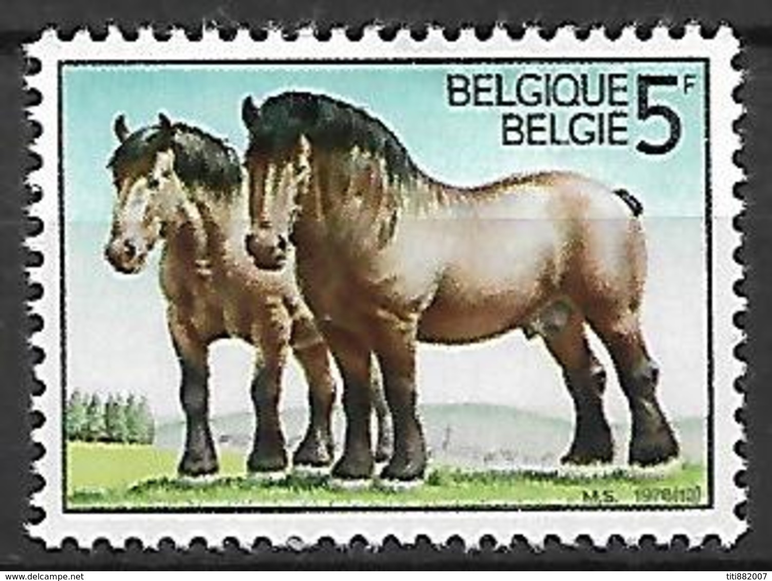 BELGIQUE     -  1976  .  Y&T N° 1805 * .  Chevaux De Race Ardennaise. - Unused Stamps