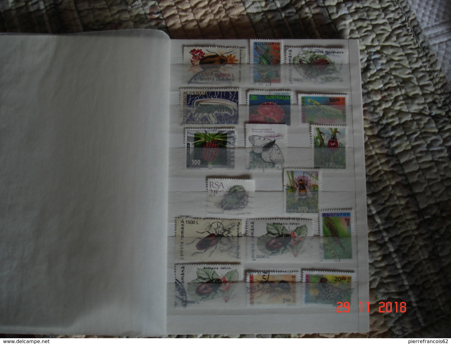 COLLECTION DE TIMBRES SUR LES INSECTES DU MONDE DANS 2 PETITS ALBUMS - Collections (en Albums)