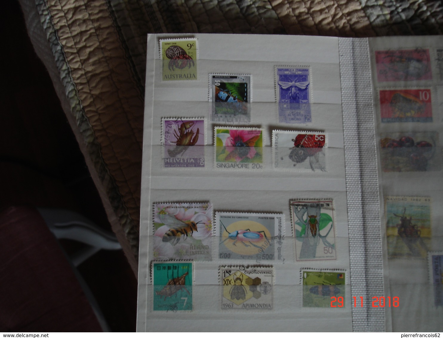 COLLECTION DE TIMBRES SUR LES INSECTES DU MONDE DANS 2 PETITS ALBUMS