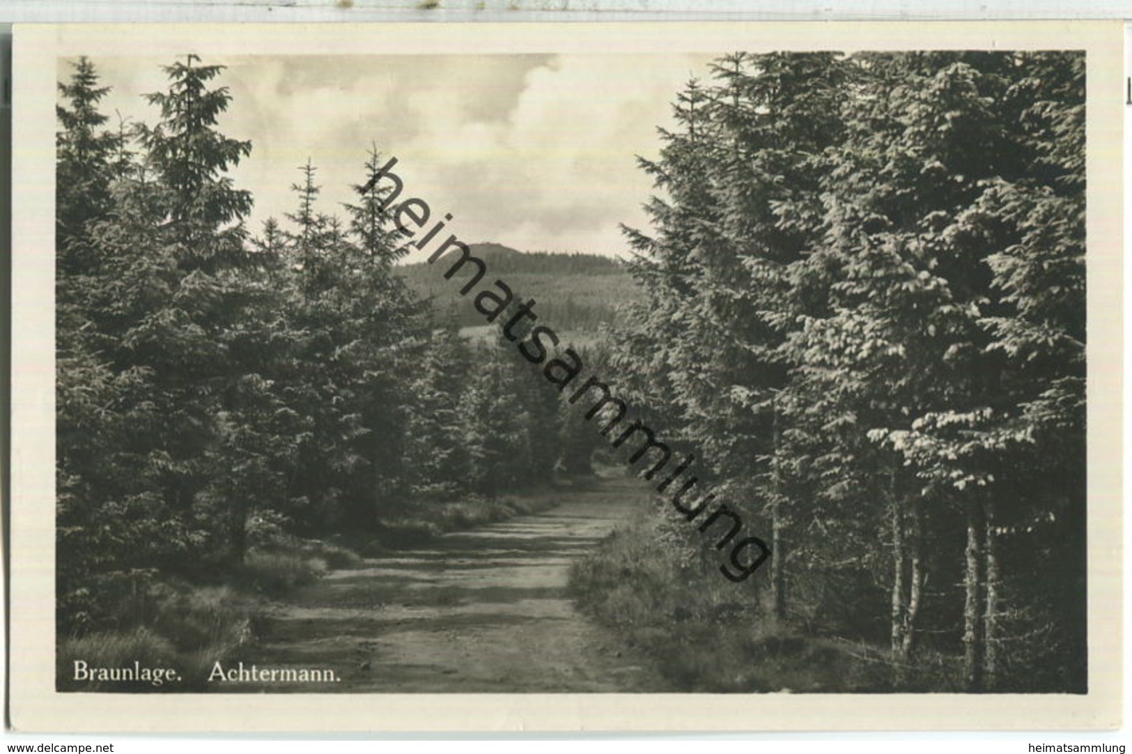 Braunlage - Achtermann - Foto-Ansichtskarte - Verlag Hans Rudolphi Braunlage - Sassnitz