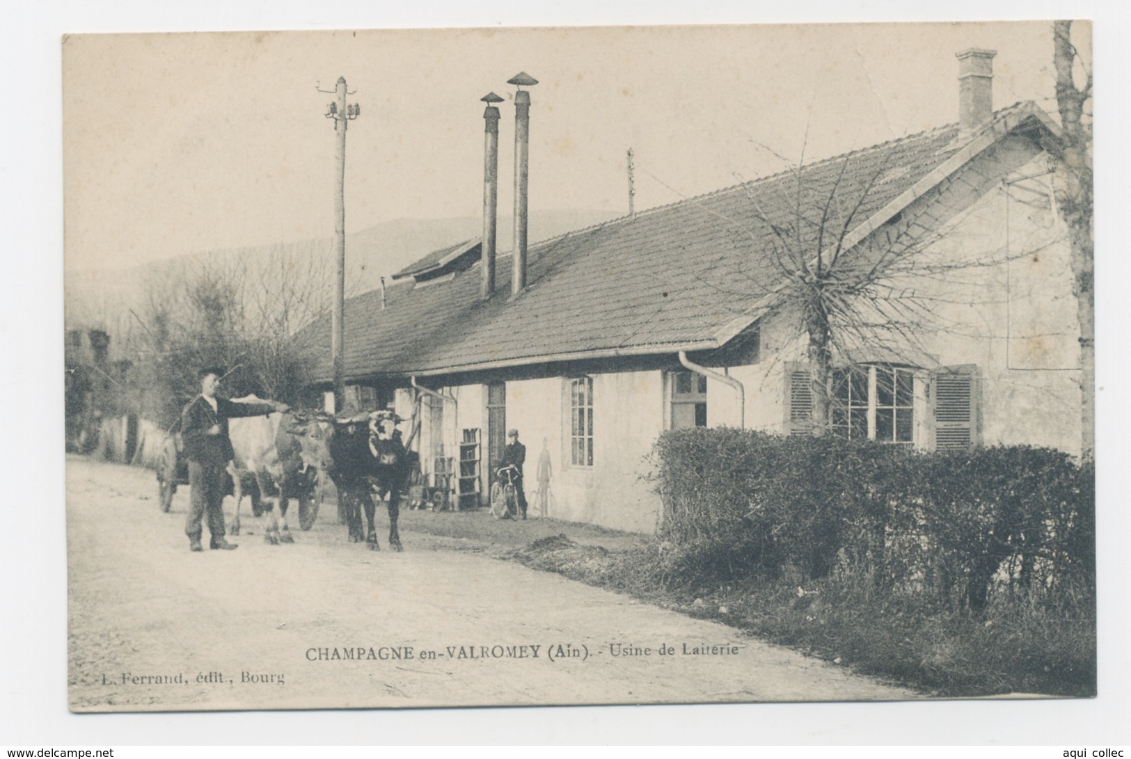 CHAMPAGNE EN VALROMEY 01 AIN USINE DE LAITERIE - Non Classés