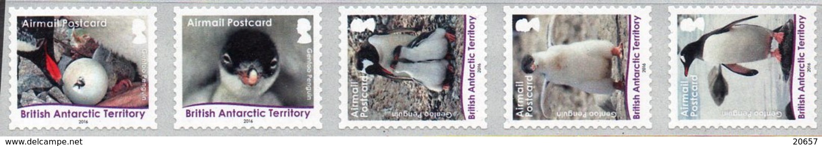 Antarctique Britannique 0692/96 Faune, Pingouin, œuf - Faune Antarctique