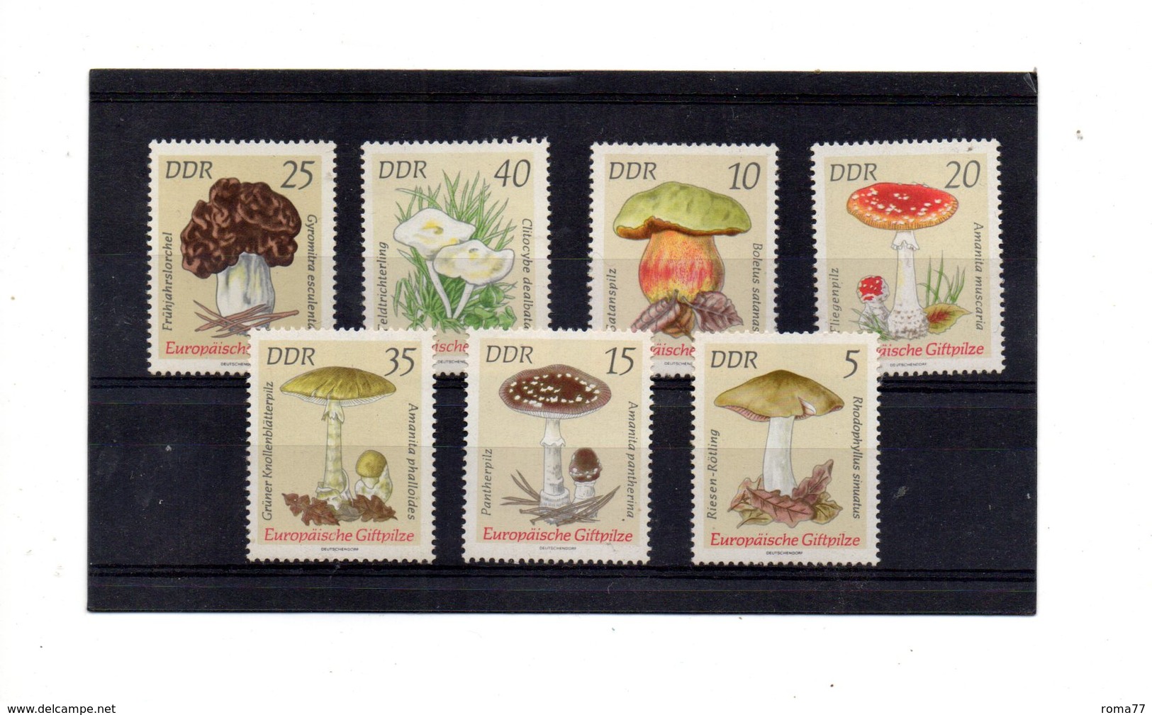 EDY917 - DDR, Sette Francobolli Diversi  *** - Mushrooms