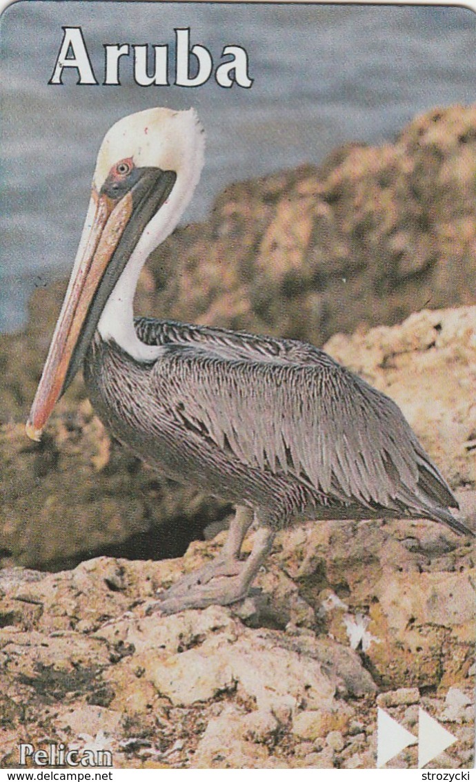 Aruba - Pelican - 511B - Aruba