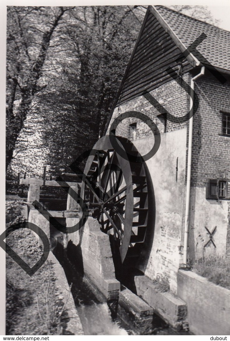 Overpelt Molen/Moulin Foto E109 - Overpelt