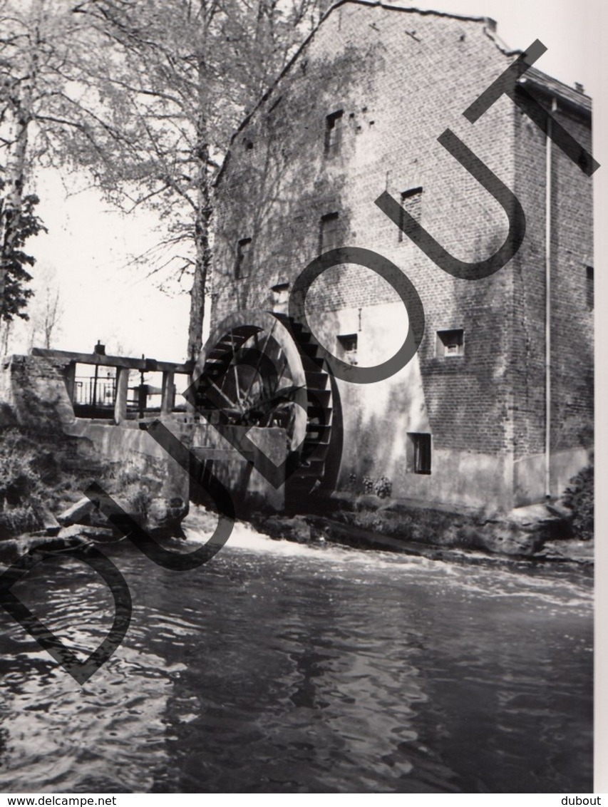 Overpelt Molen/Moulin Foto E111 - Overpelt