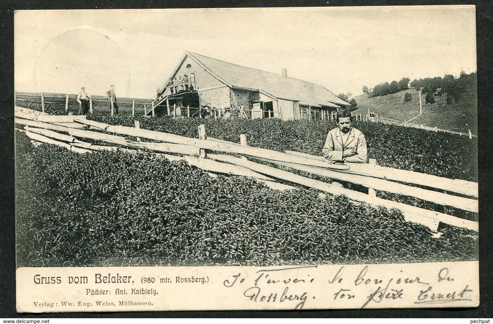 68 Haut-Rhin Gruss Vom Belaker Rossberg 1905 - Autres & Non Classés