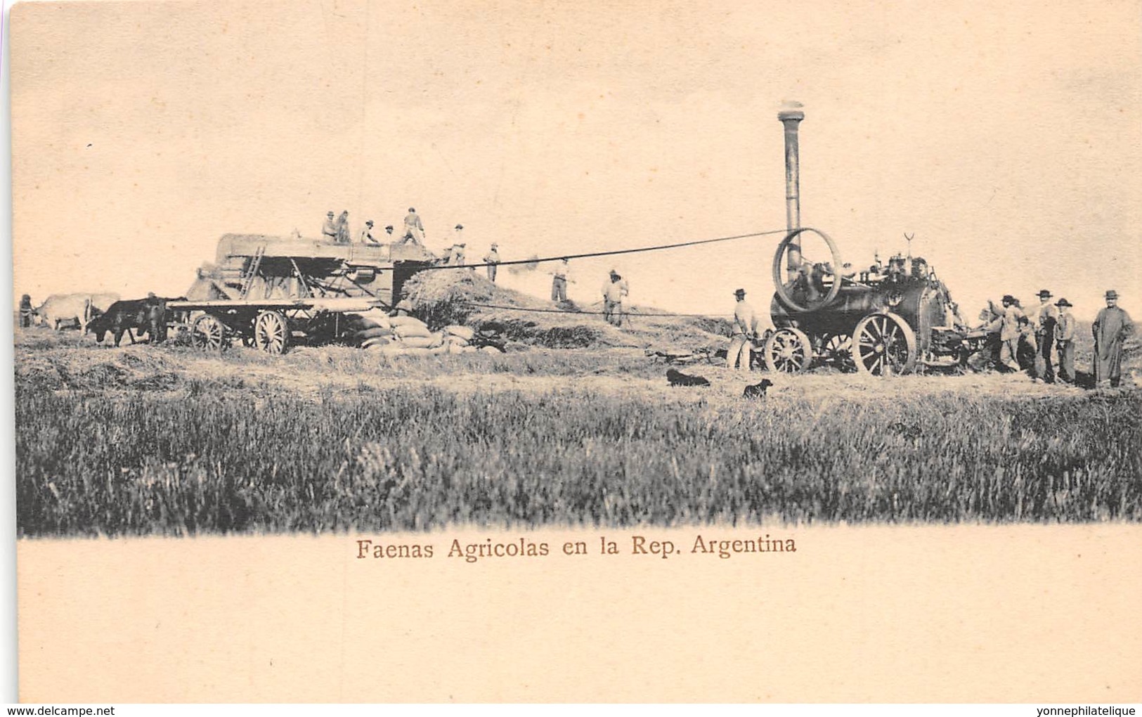 Argentine H.N / 244 - Faenas Agricolas - Argentina