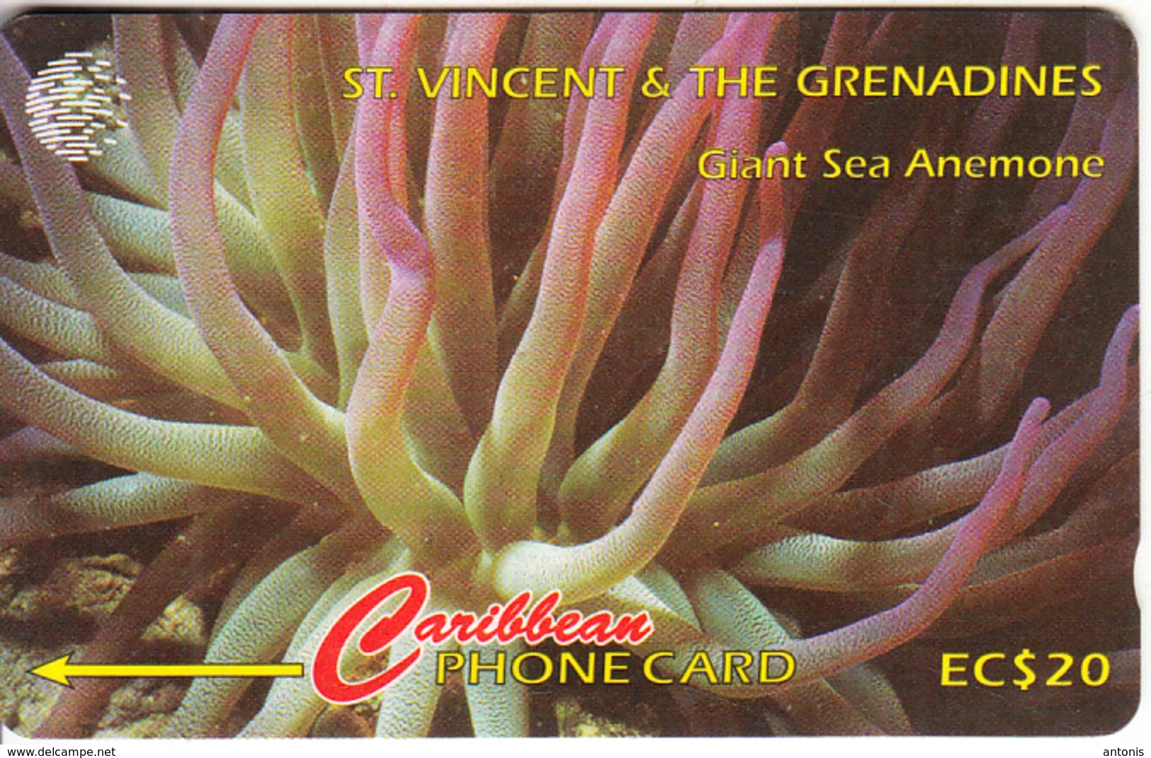 ST. VINCENT & THE GRENADINES(GPT) - Giant Sea Anemone, CN : 101CSVB/B(normal 0), Tirage 10000, Used - St. Vincent & Die Grenadinen