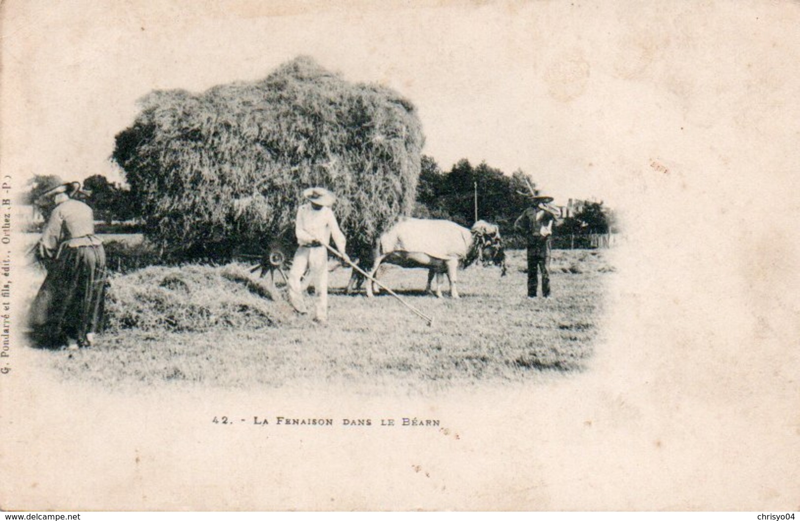 85Ct   Agriculteurs La Fenaison Dans Le Béarn Attelage Boeufs - Cultures