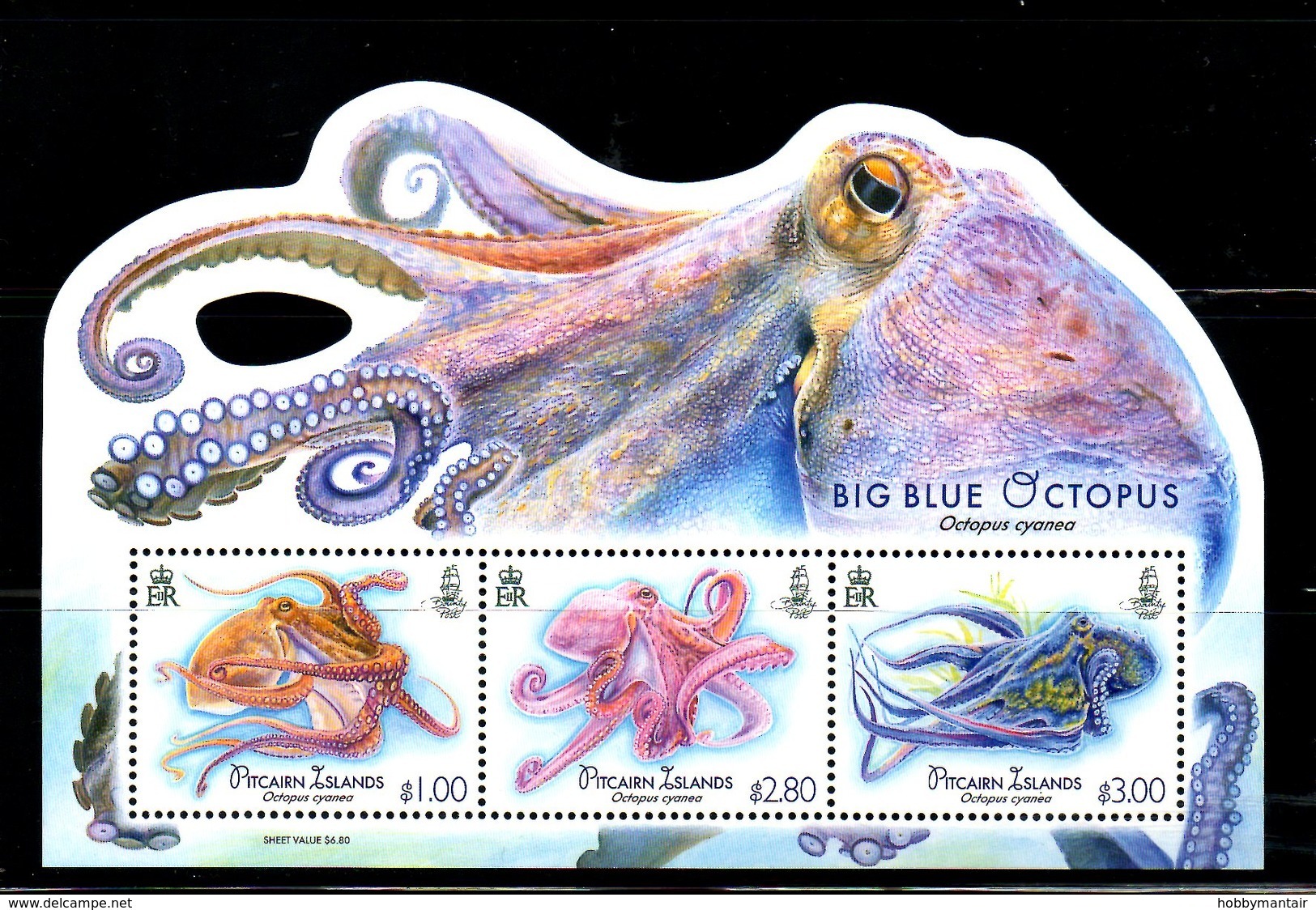 PITCAIRN ISL, 2018, BIG BLUE OCTOPUS, S/S,.MNH**NEW! - Vie Marine