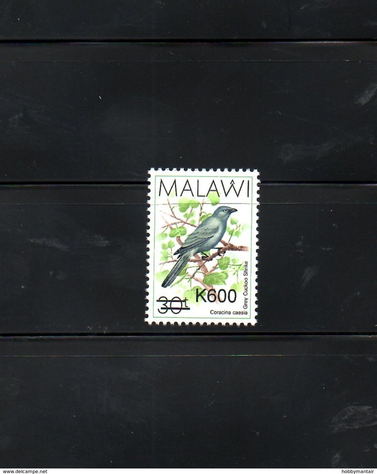 MALAWI, 2017, BIRD- II, O/P, NEW VALUE, "600" 1v. MNH** - Autres & Non Classés