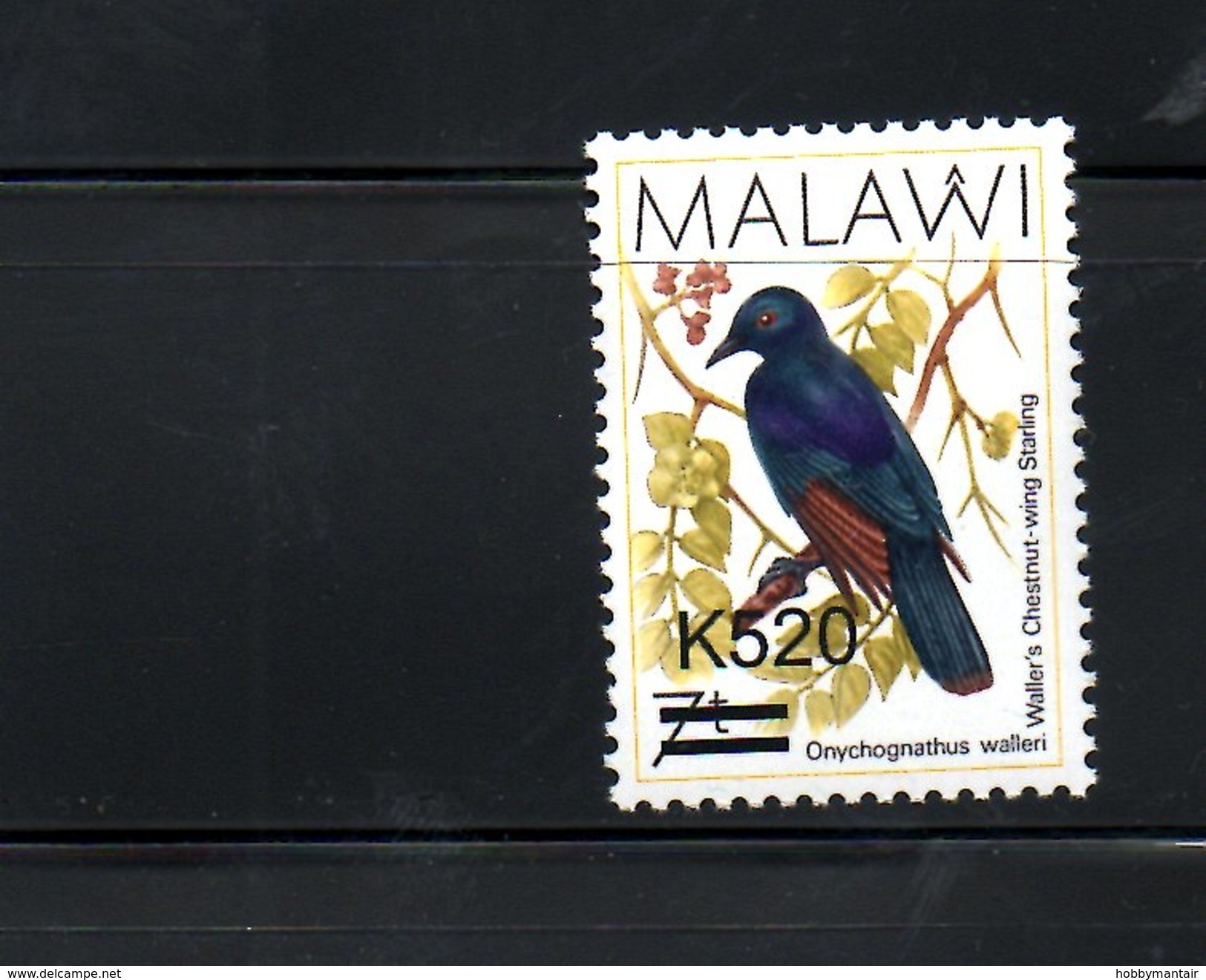 MALAWI, 2016, BIRD, O/P, NEW VALUE, "520" 1v. MNH** - Autres & Non Classés