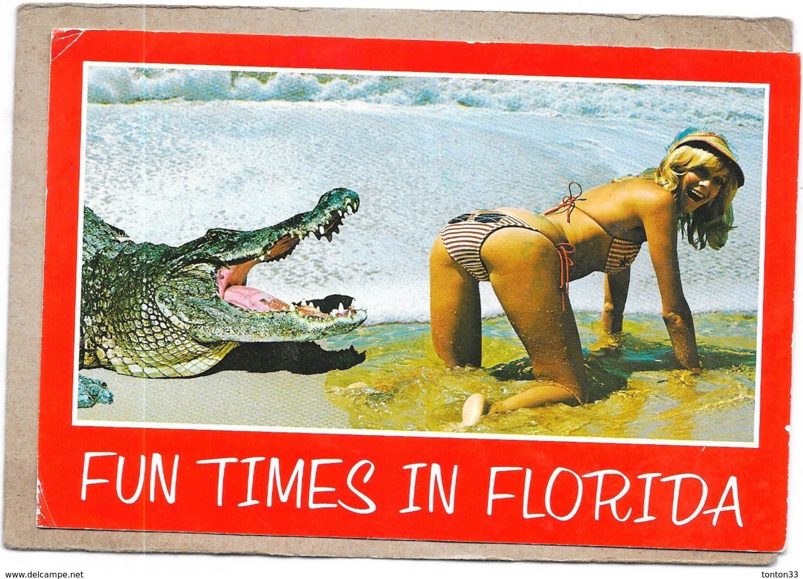 ETATS UNIS - FUN TIMES IN FLORIDA - HUMOUR SEXY - ROUIL2 - - Autres & Non Classés