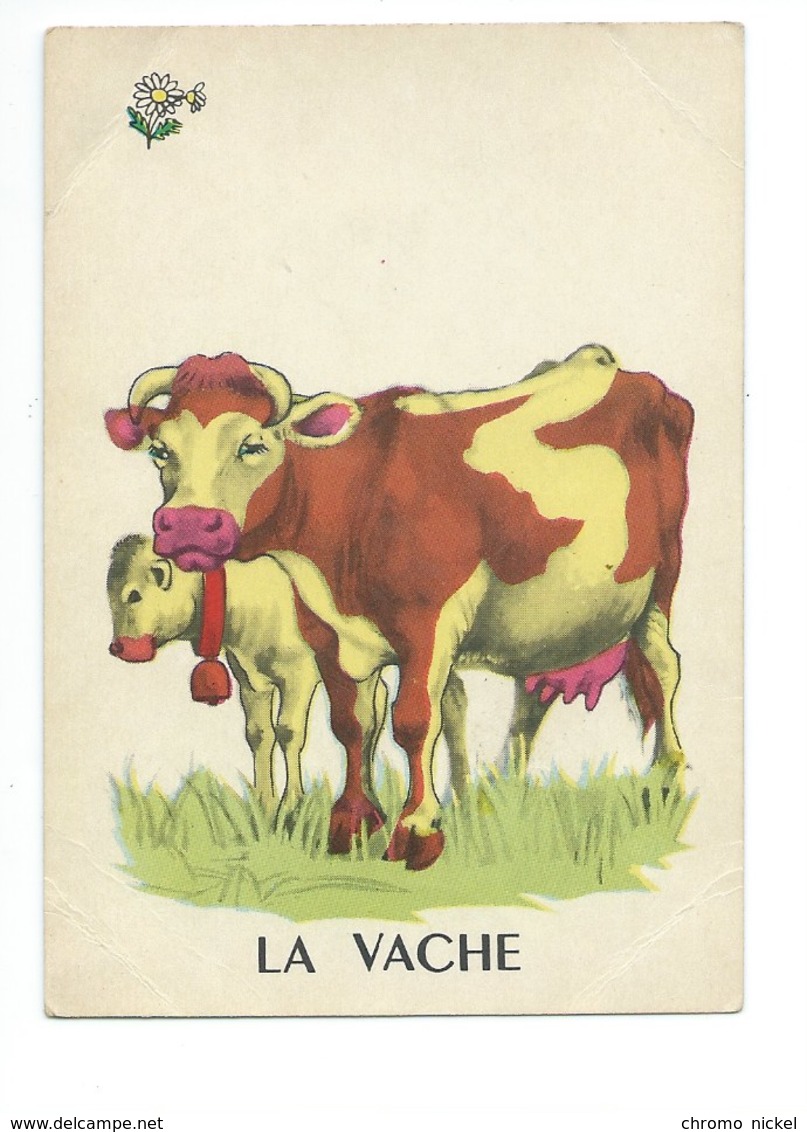 La Vache Veau Chromo Image Carte à Jouer 105 X 73 Mm Bien 2 Scans - Autres & Non Classés