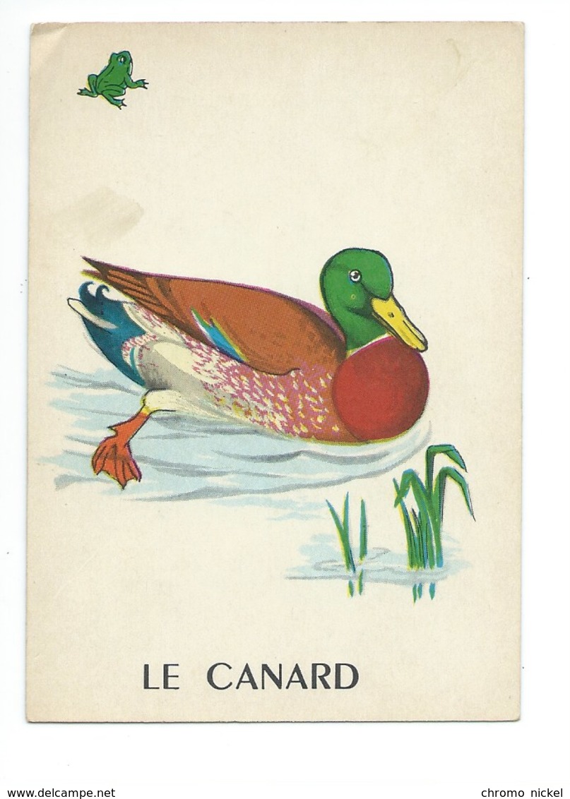 Le Canard Chromo Image Carte à Jouer 105 X 73 Mm Bien 2 Scans - Autres & Non Classés