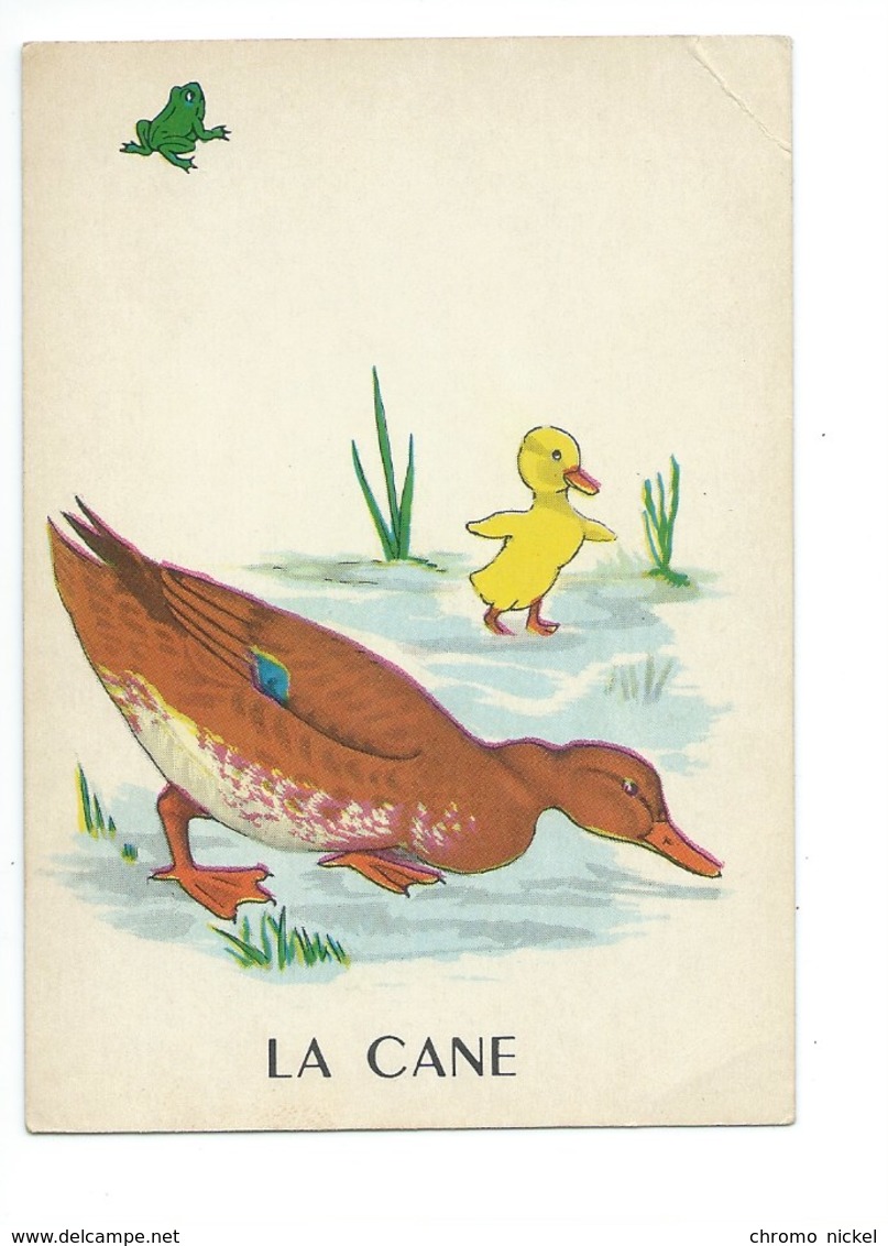 La Cane Chromo Image Carte à Jouer 105 X 73 Mm Bien 2 Scans - Autres & Non Classés