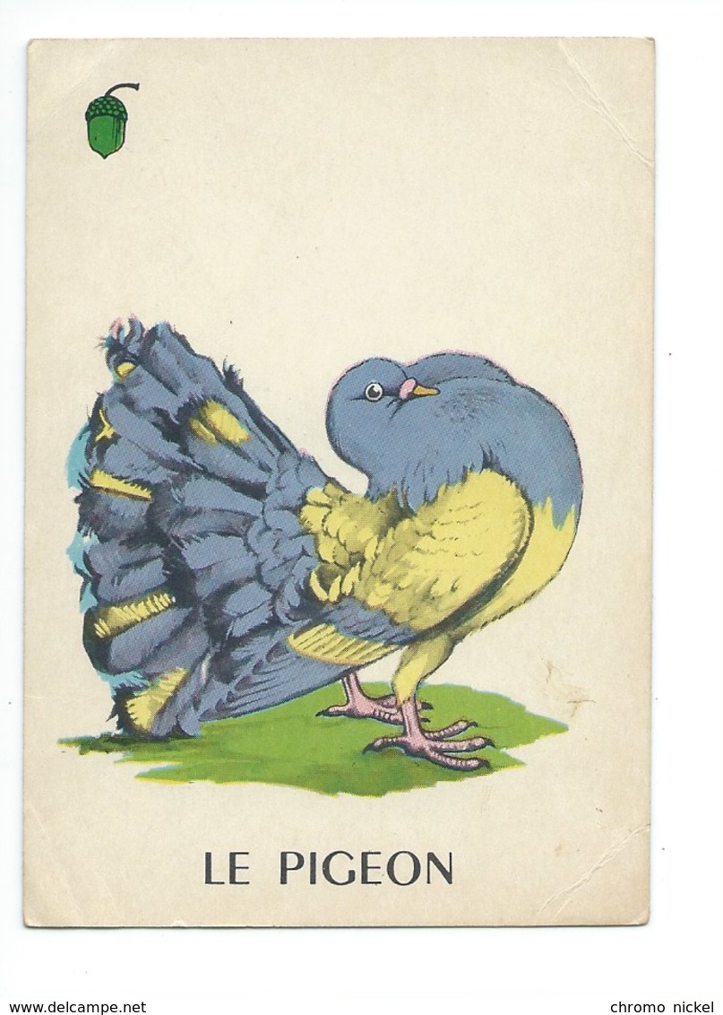 Le Pigeon Chromo Image Carte à Jouer 105 X 73 Mm Bien 2 Scans - Autres & Non Classés