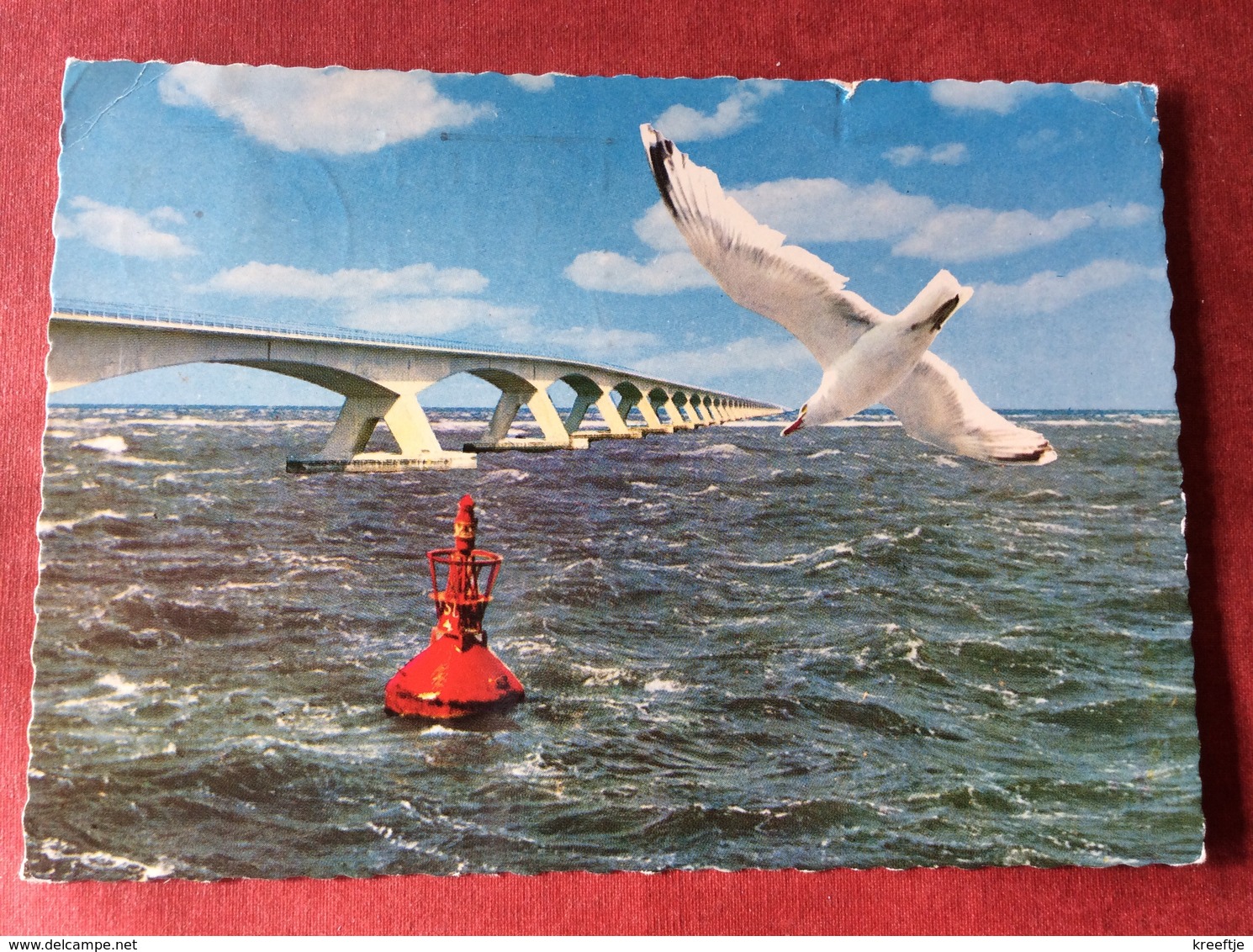 Nederland. Pays-Bas. Holland. Zeelandbrug ( Brug Pont Bridge Meeuw Vogel Oiseau Bird ) - Vogels