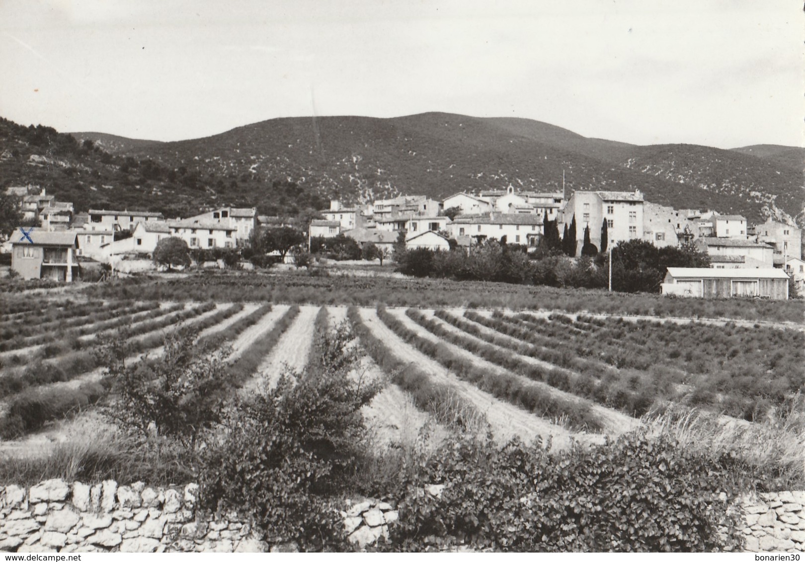 CPSM  84  VAUGINES VUE GENERALE - Autres & Non Classés