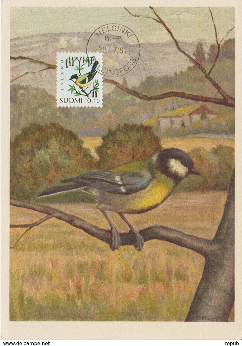 Finlande Carte Maximum Oiseau 1991 Mésange 1100 - Cartoline Maximum