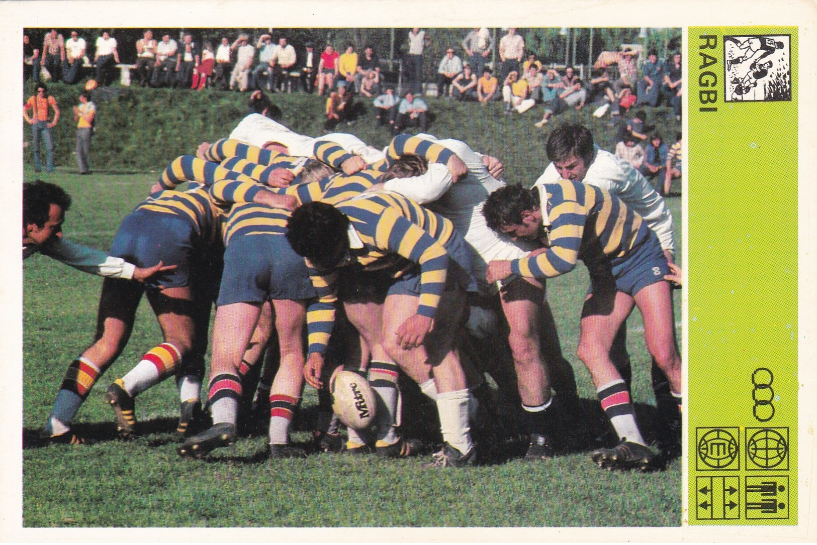 RUGBY  CARD-SVIJET SPORTA (88) - Rugby